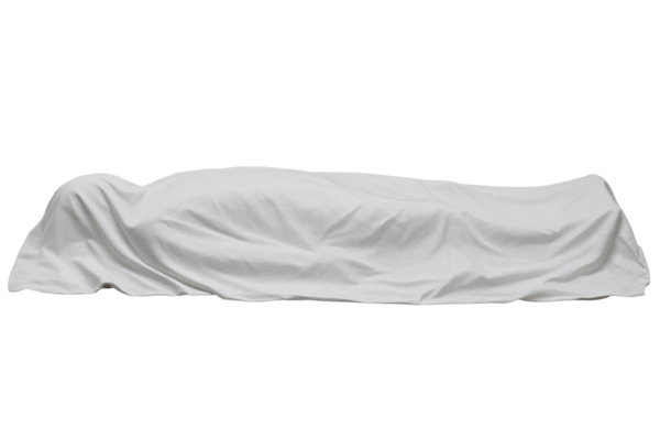 body sheet.png